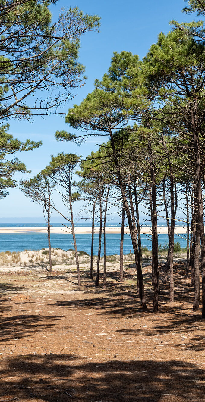 Location de linge arès