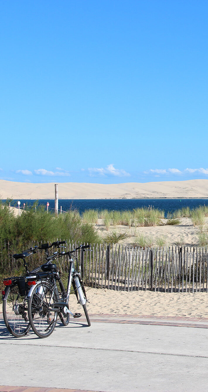 blanchisserie cap ferret