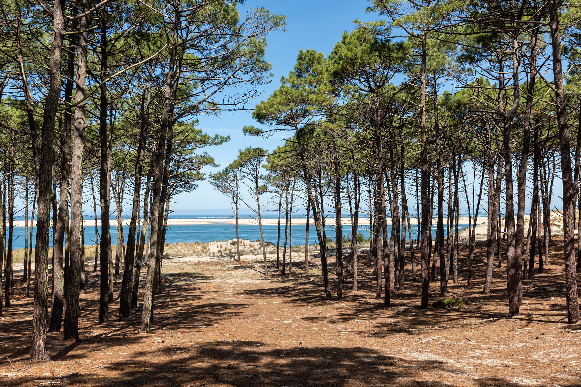 Location de linge le porge